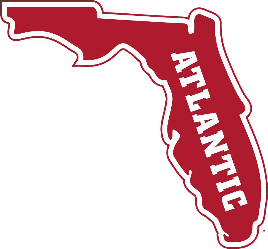 Florida Atlantic Owls 2015-Pres Secondary Logo v2 iron on transfers for clothing